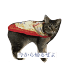 ラウとリオ（個別スタンプ：3）