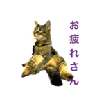 ラウとリオ（個別スタンプ：4）