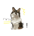 ラウとリオ（個別スタンプ：6）