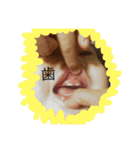 はがはえてきたよーーーー！（個別スタンプ：1）