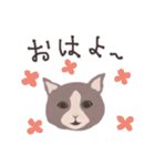 Gray cat face（個別スタンプ：6）