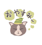 Gray cat face（個別スタンプ：8）