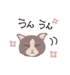 Gray cat face（個別スタンプ：13）