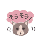 Gray cat face（個別スタンプ：23）