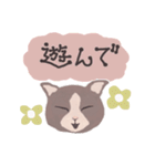 Gray cat face（個別スタンプ：25）