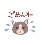 Gray cat face（個別スタンプ：31）