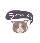 Gray cat face（個別スタンプ：33）