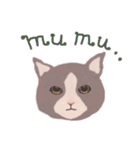 Gray cat face（個別スタンプ：34）