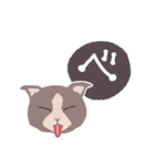 Gray cat face（個別スタンプ：35）