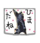 猫いろいろスタンプ（個別スタンプ：17）