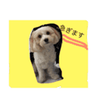 るなといっちゃん（個別スタンプ：30）