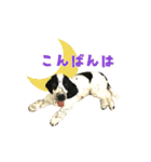 ペンタです（個別スタンプ：2）