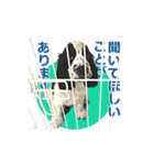 ペンタです（個別スタンプ：5）