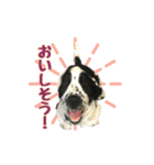 ペンタです（個別スタンプ：10）