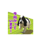 ペンタです（個別スタンプ：15）