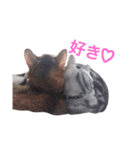 武蔵と愛姫（個別スタンプ：12）