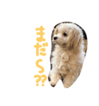 Tino's stamp 2（個別スタンプ：2）