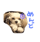 Tino's stamp 2（個別スタンプ：3）
