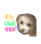 Tino's stamp 2（個別スタンプ：5）