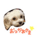 Tino's stamp 2（個別スタンプ：7）
