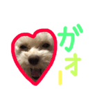 Tino's stamp 2（個別スタンプ：11）