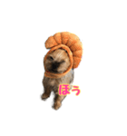 うどんの日常 筑豊弁2（個別スタンプ：2）