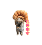 うどんの日常 筑豊弁2（個別スタンプ：5）