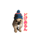 うどんの日常 筑豊弁2（個別スタンプ：8）