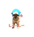 うどんの日常 筑豊弁2（個別スタンプ：11）