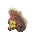 WANKO.TAROIRO（個別スタンプ：5）