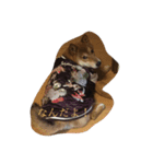 WANKO.TAROIRO（個別スタンプ：7）