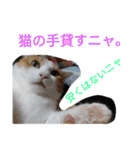タマスケとシロサンのスタンプ弐（個別スタンプ：3）