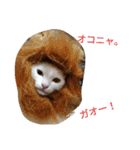 タマスケとシロサンのスタンプ弐（個別スタンプ：4）