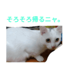 タマスケとシロサンのスタンプ弐（個別スタンプ：5）