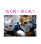 タマスケとシロサンのスタンプ弐（個別スタンプ：11）
