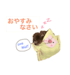 トイプードル毎日使う言葉（個別スタンプ：4）