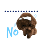 トイプードル毎日使う言葉（個別スタンプ：18）