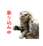 気分屋ねこ、べべ。2（個別スタンプ：4）