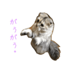 気分屋ねこ、べべ。2（個別スタンプ：10）