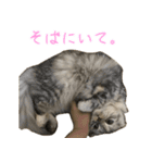 気分屋ねこ、べべ。2（個別スタンプ：12）