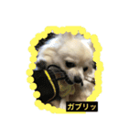 ミルク3（個別スタンプ：2）