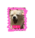 ミルク3（個別スタンプ：3）