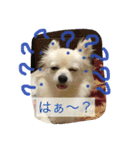ミルク3（個別スタンプ：5）