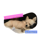 ミルク3（個別スタンプ：8）