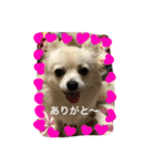 ミルク3（個別スタンプ：9）