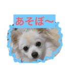 ミルク3（個別スタンプ：14）