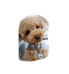 Series 4 Prince-you（個別スタンプ：2）