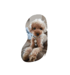 Series 4 Prince-you（個別スタンプ：6）