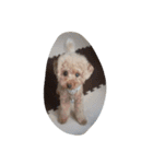 Series 4 Prince-you（個別スタンプ：7）