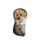 Series 4 Prince-you（個別スタンプ：18）